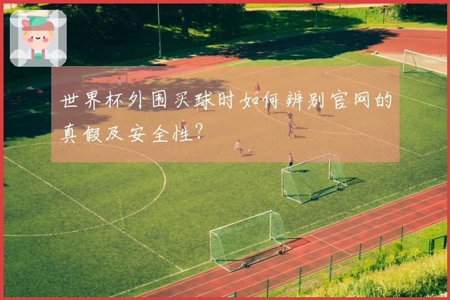 世界杯外围买球时如何辨别官网的真假及安全性？