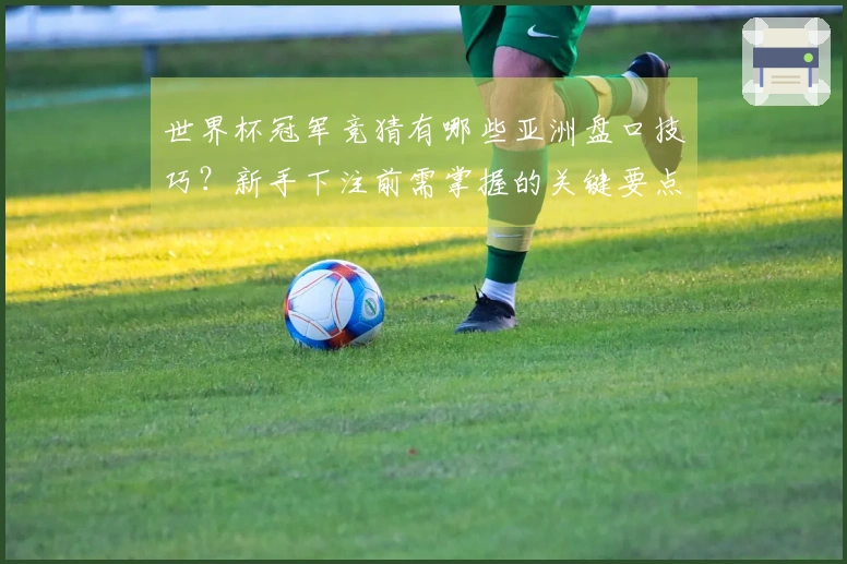 世界杯冠军竞猜有哪些亚洲盘口技巧？新手下注前需掌握的关键要点