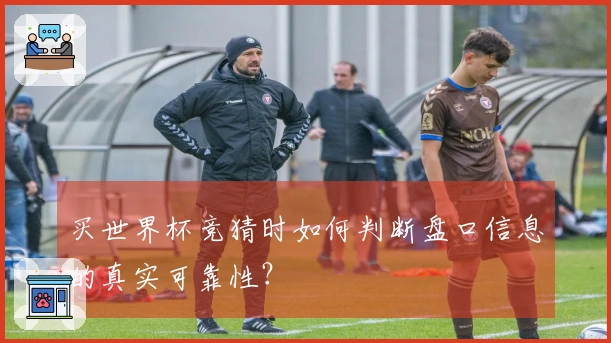 买世界杯竞猜时如何判断盘口信息的真实可靠性？