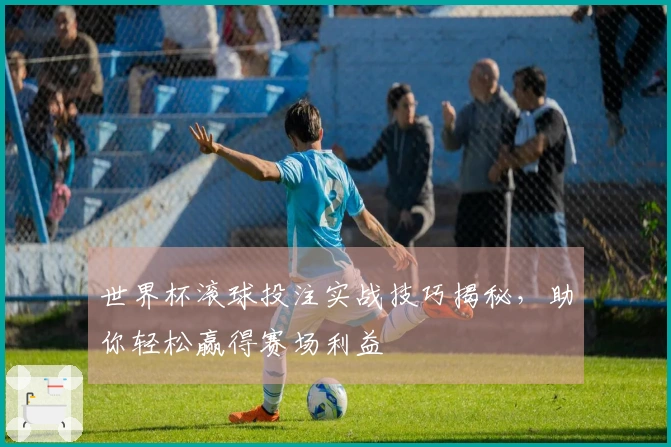 世界杯滚球投注实战技巧揭秘，助你轻松赢得赛场利益