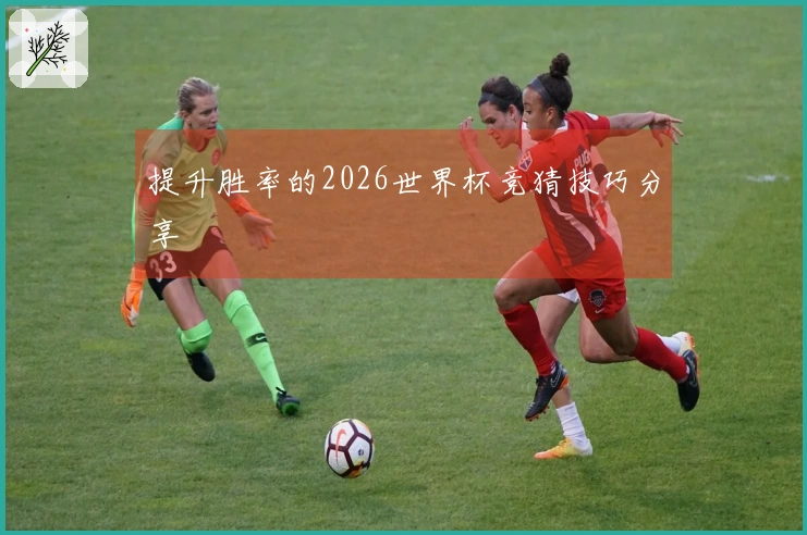 提升胜率的2026世界杯竞猜技巧分享