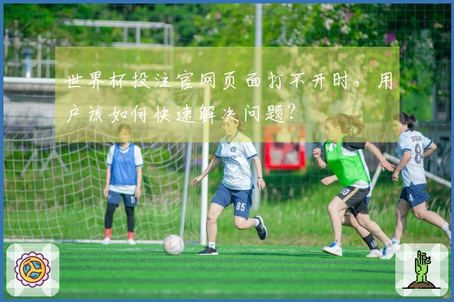 世界杯投注官网页面打不开时，用户该如何快速解决问题？