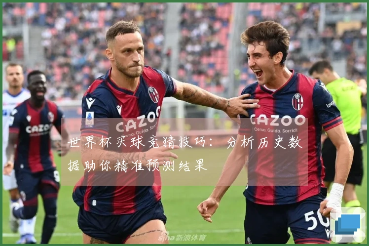 世界杯买球竞猜技巧：分析历史数据助你精准预测结果
