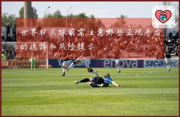 世界杯买球前需注意哪些正规平台的选择和风险提示