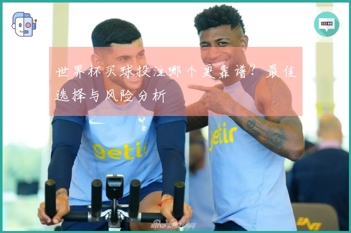 世界杯买球投注哪个更靠谱？最佳选择与风险分析