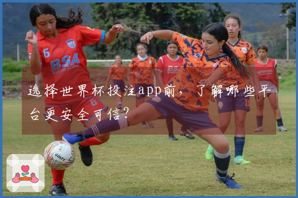选择世界杯投注app前，了解哪些平台更安全可信？