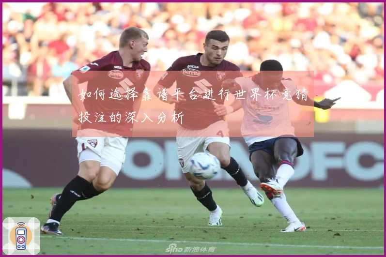 如何选择靠谱平台进行世界杯竞猜投注的深入分析