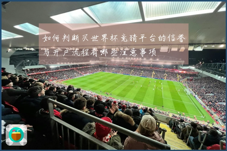 如何判断买世界杯竞猜平台的信誉与开户流程有哪些注意事项