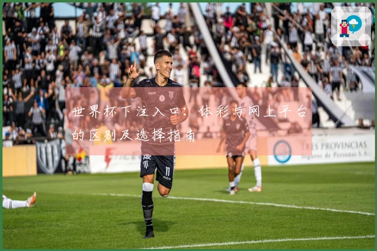 世界杯下注入口：体彩与网上平台的区别及选择指南