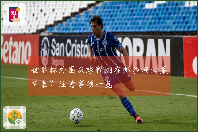 世界杯外围买球预测在哪些网站最可靠？注意事项一览