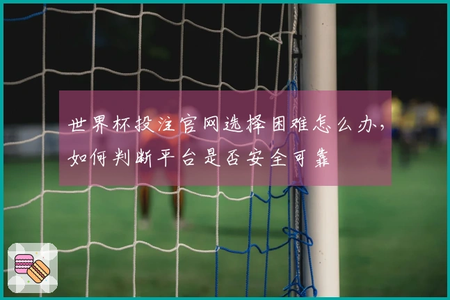 世界杯投注官网选择困难怎么办，如何判断平台是否安全可靠