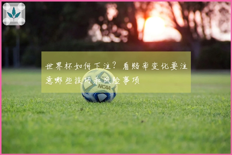 世界杯如何下注？看赔率变化要注意哪些技巧和风险事项