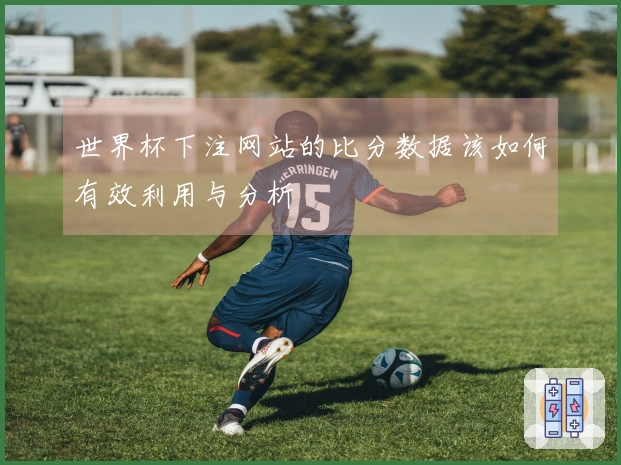 世界杯下注网站的比分数据该如何有效利用与分析