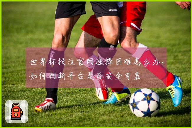 世界杯投注官网选择困难怎么办，如何判断平台是否安全可靠