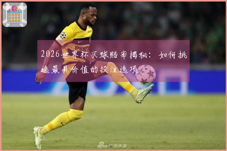 2026世界杯买球赔率揭秘：如何挑选最具价值的投注选项