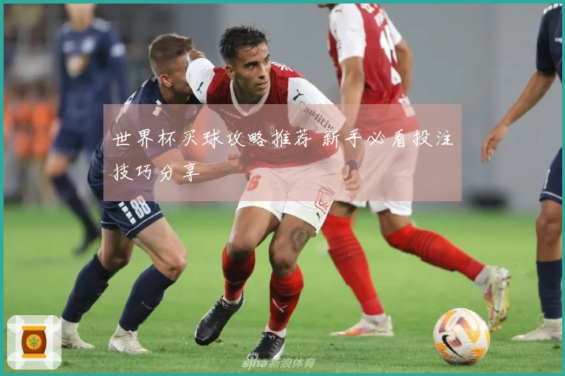 世界杯买球攻略推荐 新手必看投注技巧分享