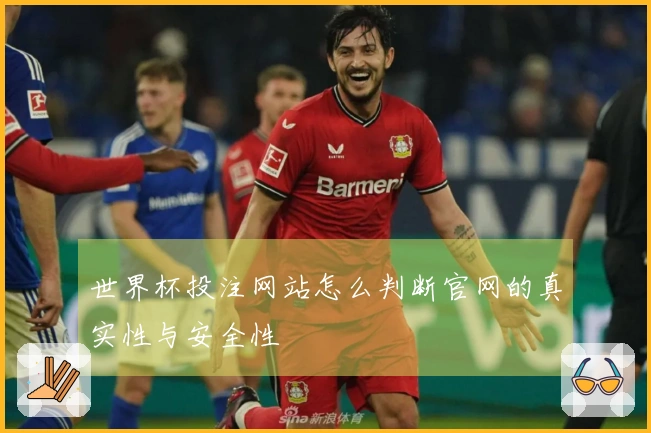 世界杯投注网站怎么判断官网的真实性与安全性