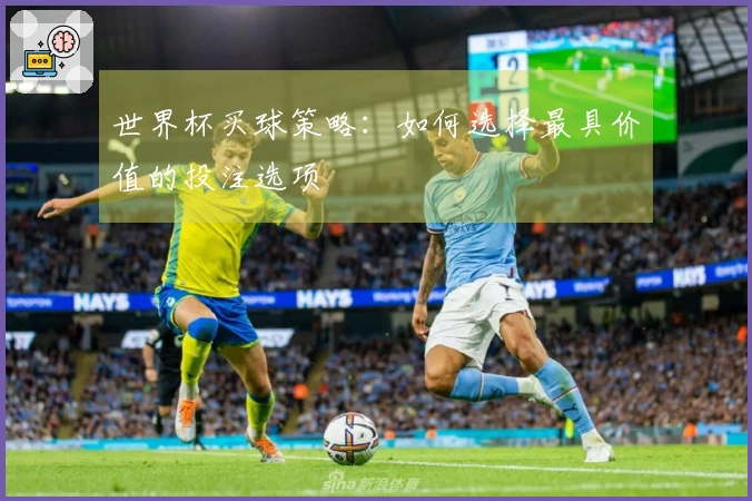 世界杯买球策略：如何选择最具价值的投注选项
