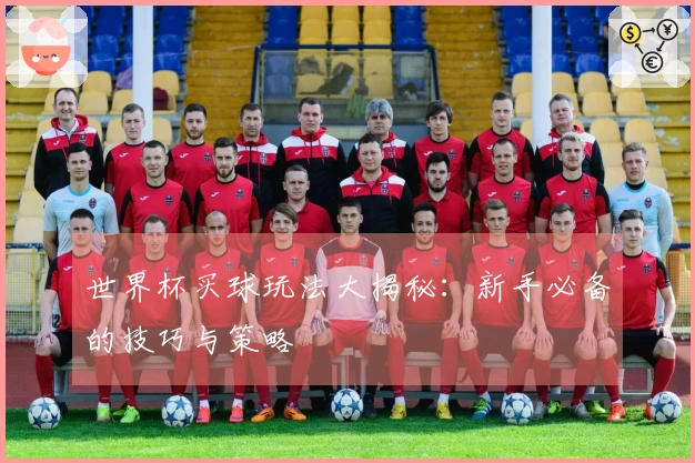 世界杯买球玩法大揭秘：新手必备的技巧与策略