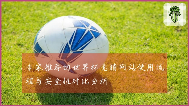 专家推荐的世界杯竞猜网站使用流程与安全性对比分析