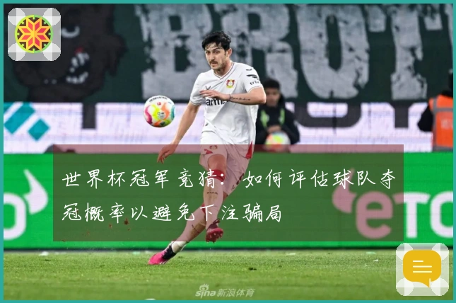 世界杯冠军竞猜：如何评估球队夺冠概率以避免下注骗局