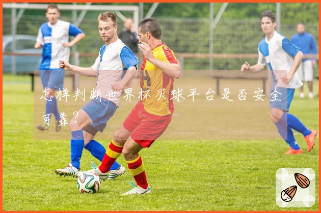 怎样判断世界杯买球平台是否安全可靠？