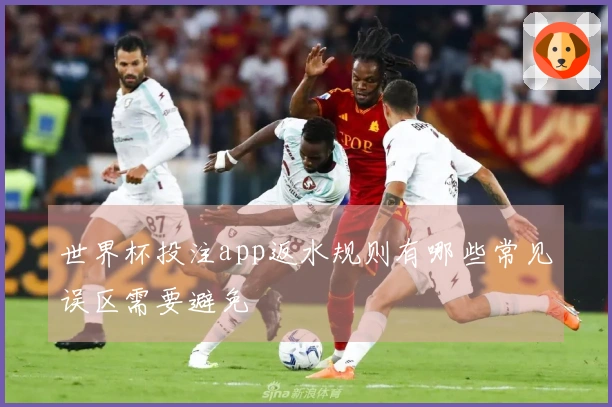 世界杯投注app返水规则有哪些常见误区需要避免