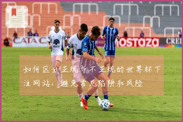 如何区分正规与不正规的世界杯下注网站，避免常见陷阱和风险