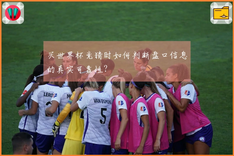 买世界杯竞猜时如何判断盘口信息的真实可靠性？