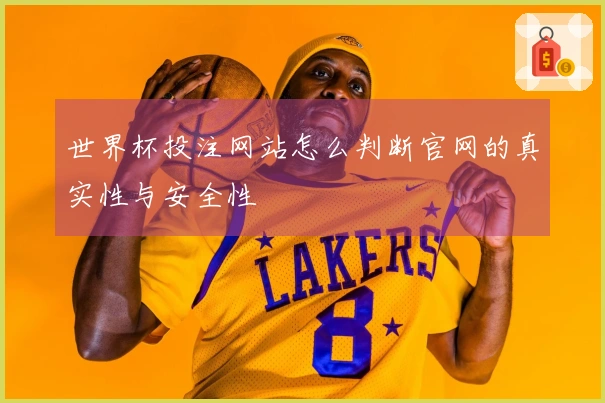 世界杯投注网站怎么判断官网的真实性与安全性