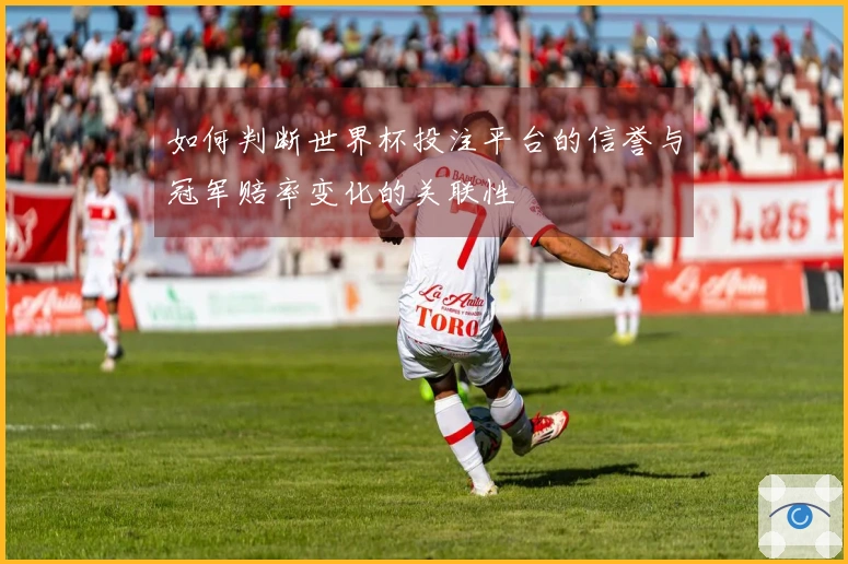 如何判断世界杯投注平台的信誉与冠军赔率变化的关联性
