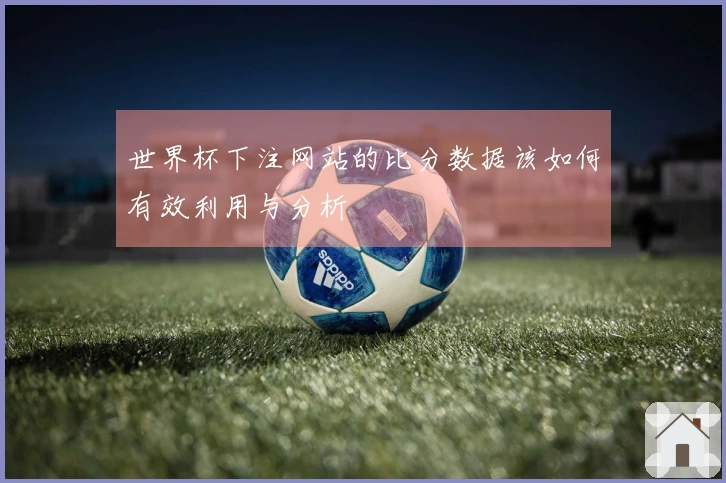 世界杯下注网站的比分数据该如何有效利用与分析