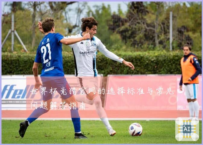 世界杯竞猜官网的选择标准与常见问题解答指南