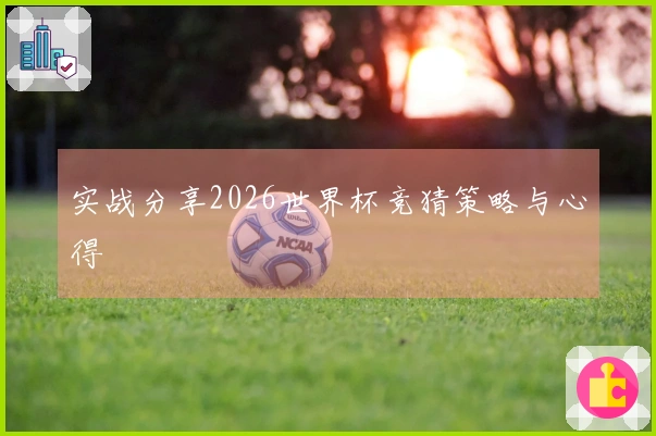 实战分享2026世界杯竞猜策略与心得