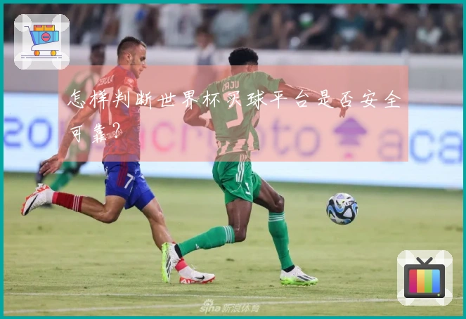 怎样判断世界杯买球平台是否安全可靠？