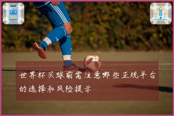 世界杯买球前需注意哪些正规平台的选择和风险提示