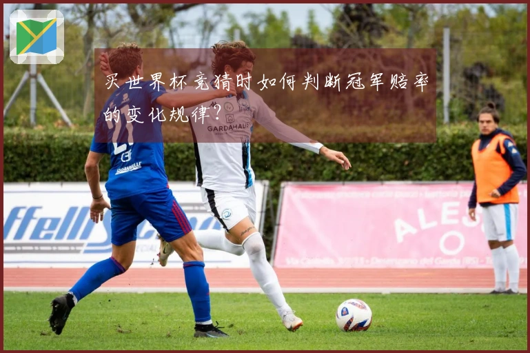 买世界杯竞猜时如何判断冠军赔率的变化规律？